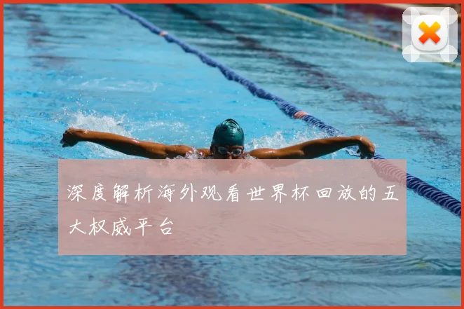 深度解析海外观看世界杯回放的五大权威平台