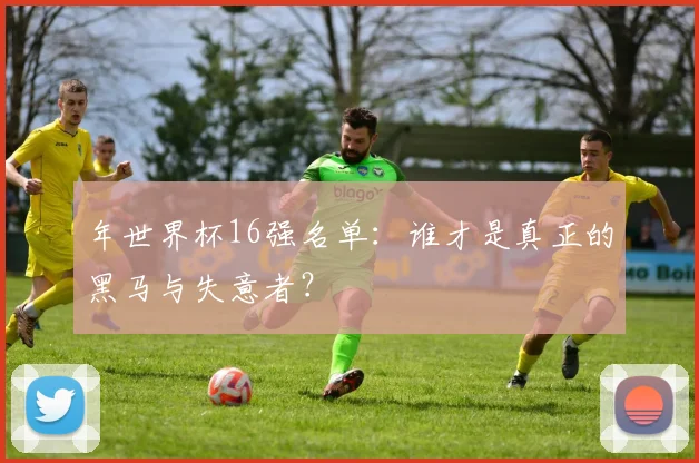 年世界杯16强名单：谁才是真正的黑马与失意者？